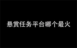 悬赏任务平台哪个最火（2023年最好的悬赏任务赚钱软件）