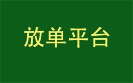 放单平台有哪些（平时我放单都在这两个平台）